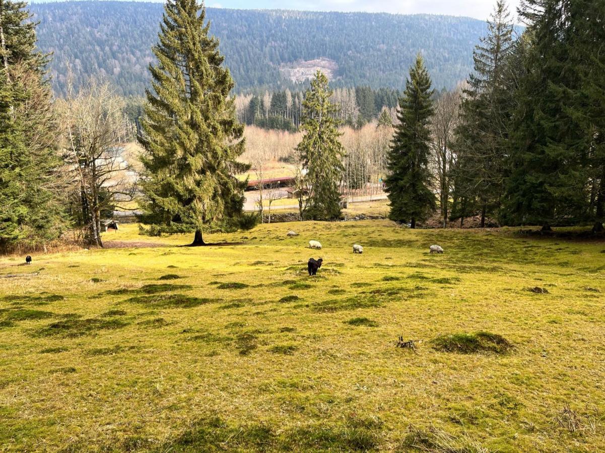 Ferme Des Jonquilles 15P - Billard, Ps4, Salle De Sport Gérardmer Екстериор снимка